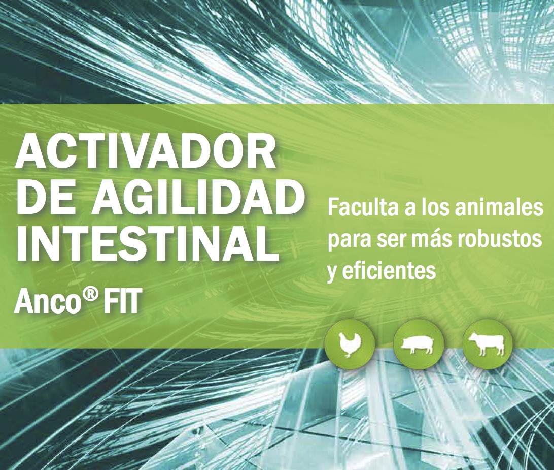 Anco FIT - Activador de Agilidad Intestinal